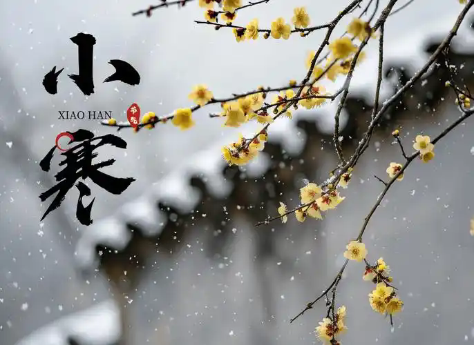 科普文章特色图片